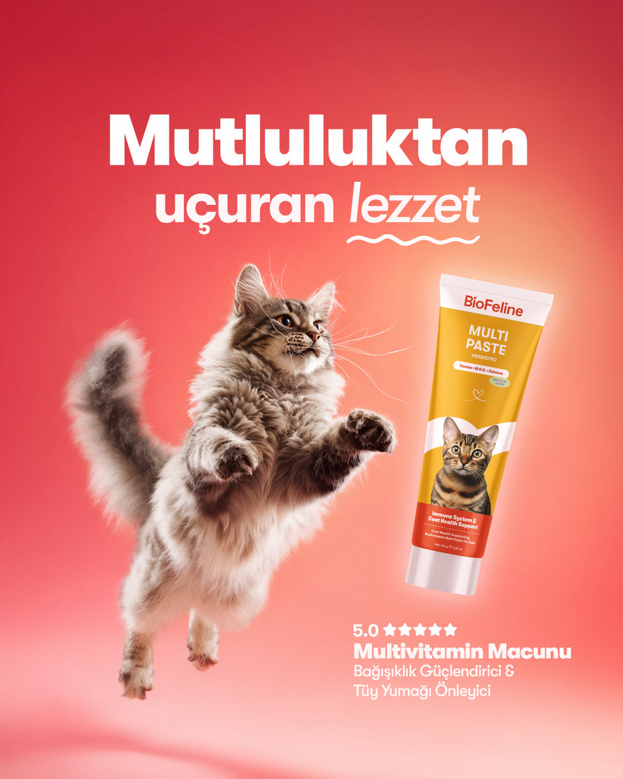BUGÜN SOKAKTAKİ HER PATİNİN SANA BİR MESAJI VAR