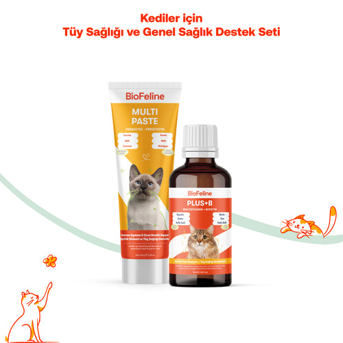 Kediler İçin Tüy Dökülmesi Karşıtı Genel Sağlık Seti – Biotin & Çinko & Malt | BioFeline