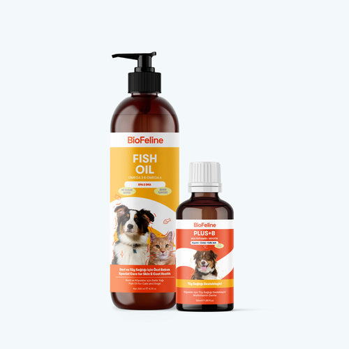 Köpekler İçin Tüy Sağlığı Destek Seti – Omega 3-6 Balık Yağı + Biotin Damla | BioFeline