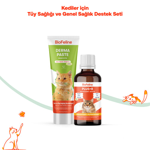 Kediler İçin Tüy Dökülmesi Karşıtı & Deri Yenileyici Derma Malt Macunu | BioFeline