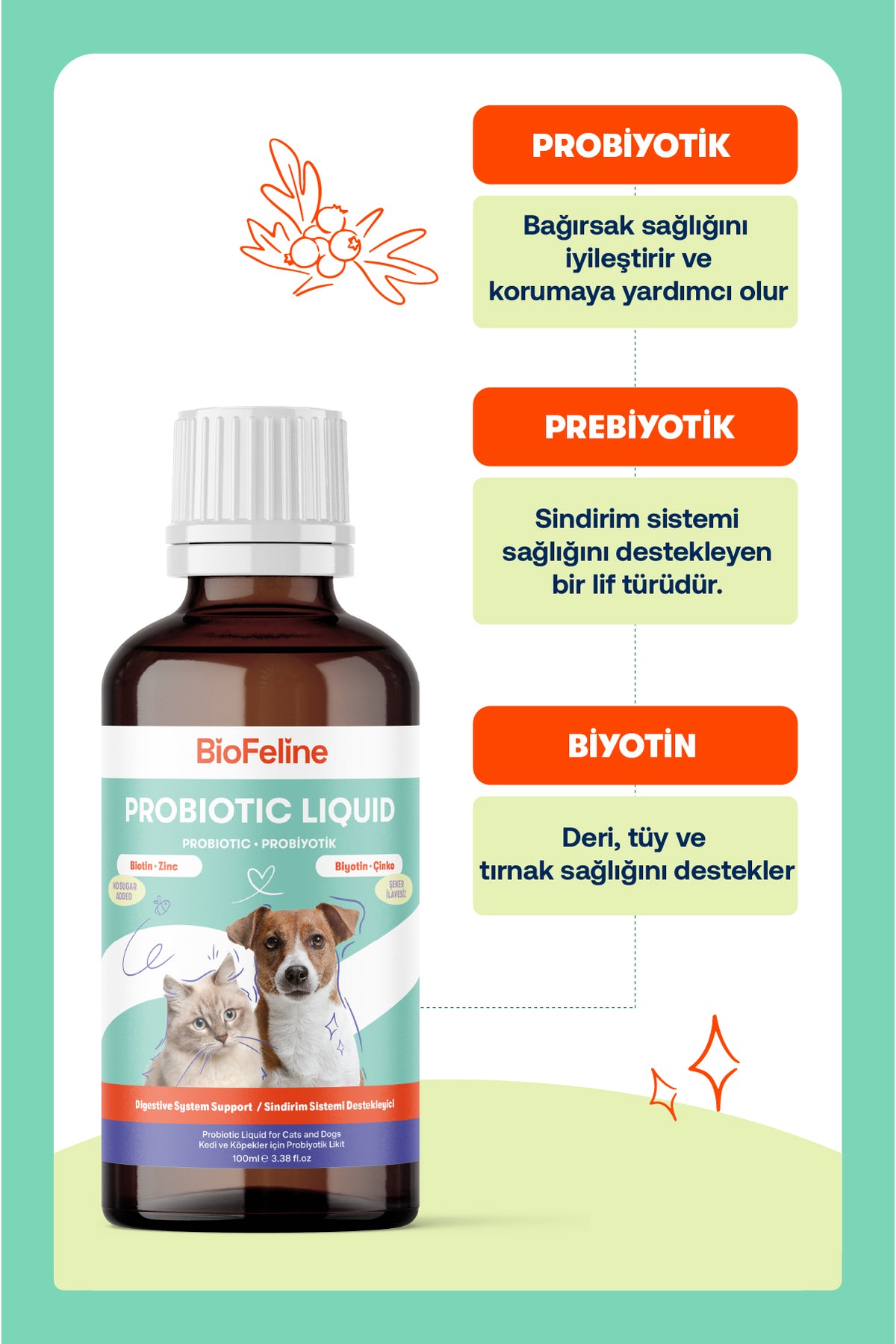 Kediler İçin Sıvı Probiyotik & Vitamin Damla – Sindirim, Bağışıklık ve Tüy Desteği, 50 ml | BioFeline