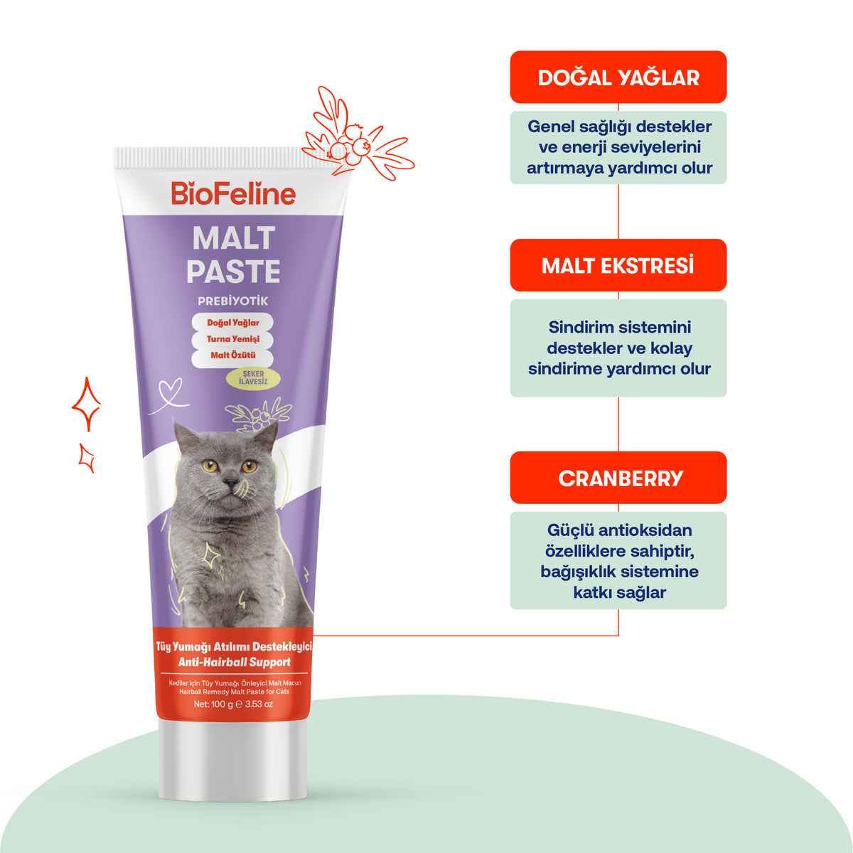 Kediler İçin Tüy Dökülmesi & Bağışıklık Destek Seti | BioFeline