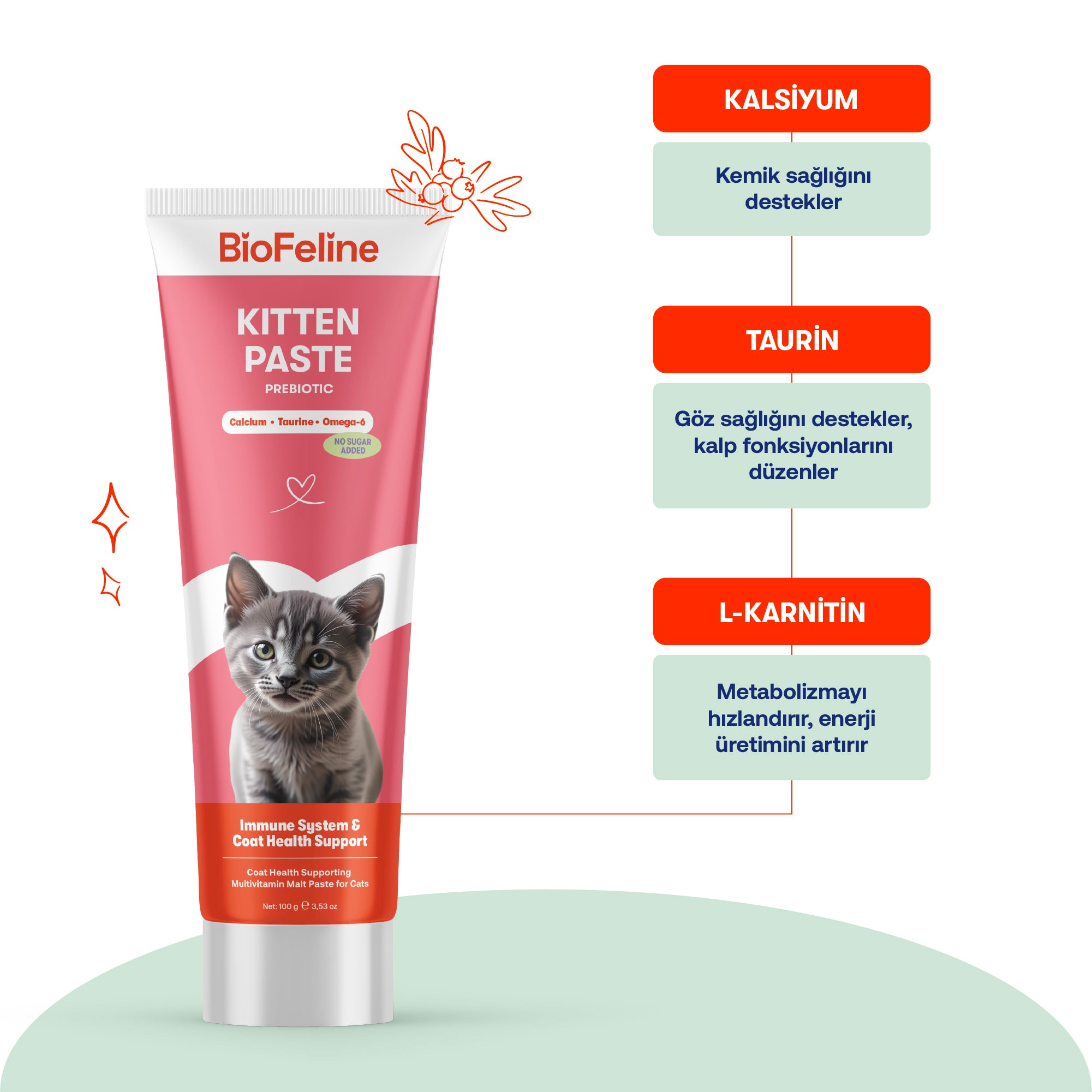 Yavru ve Anne Kediler İçin Multivitamin Macun | Bağışıklık, Kemik ve Tüy Desteği | 100g