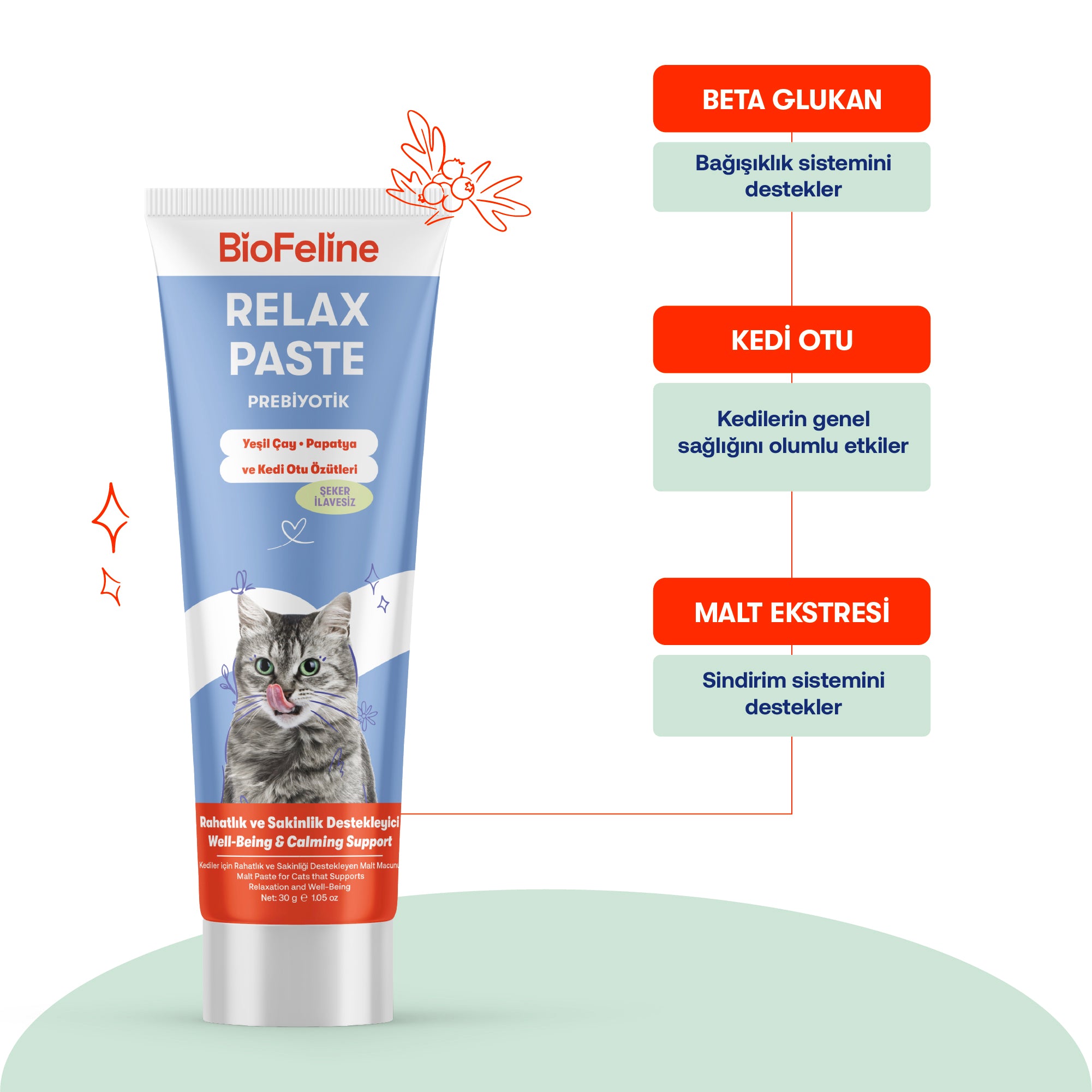 Sakinleştirici Kedi Macunu – Doğal Stres Giderici  Kantaron İçerikli (30g)