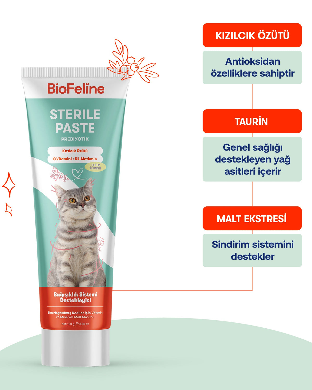 Kısır Kediler İçin Tüy Sağlığı & Besleyici Destek Seti | BioFeline