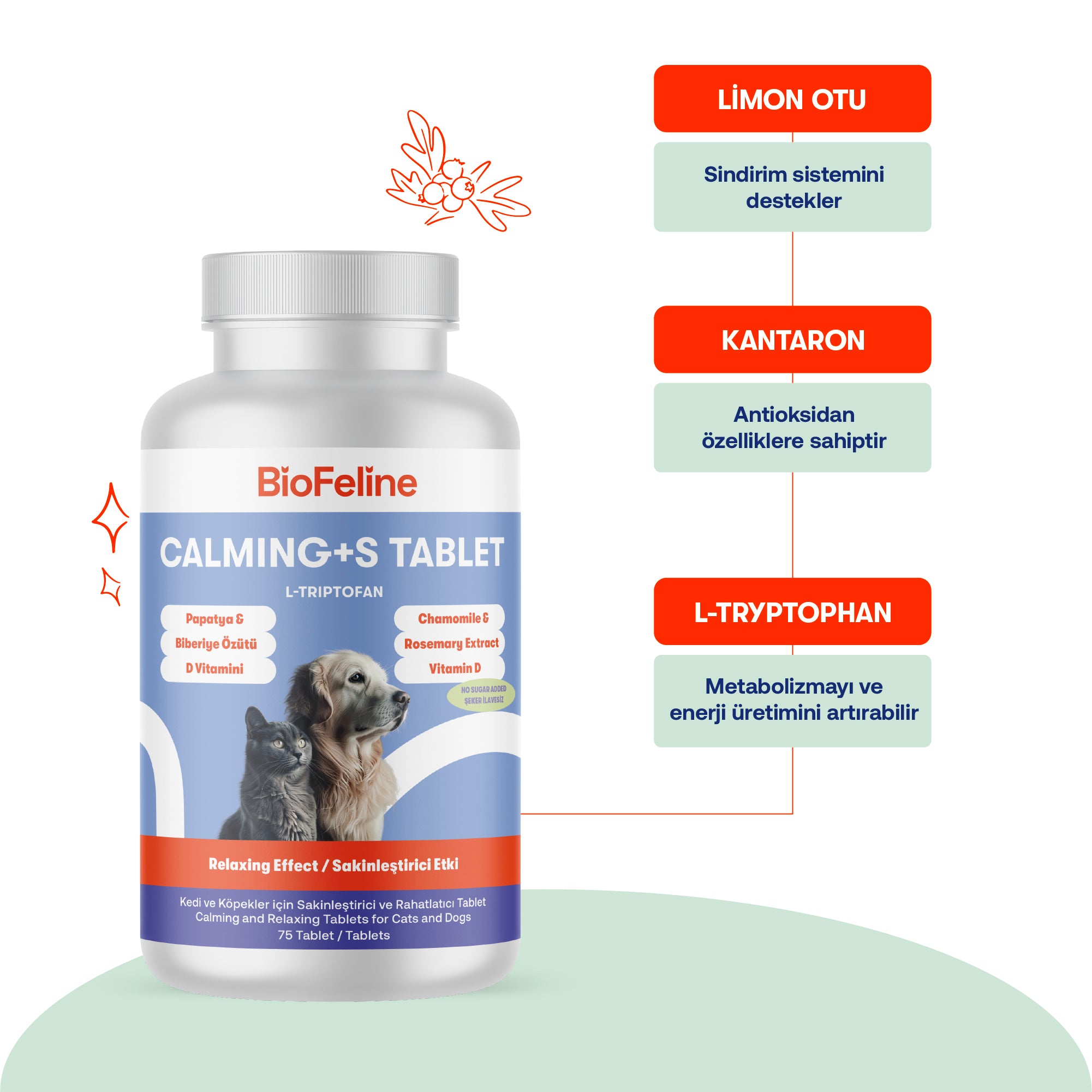 Kedi Stres Kaygi Huzursuzluk Kopekler Tablet – Onarıcı | BioFeline