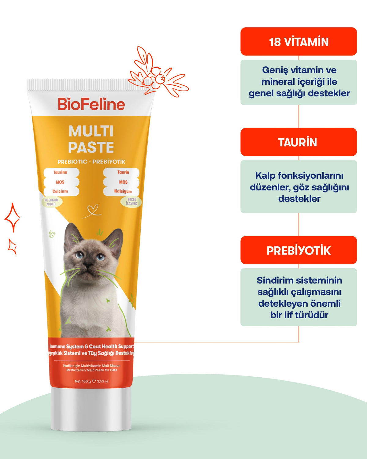 Kediler İçin Tüy Yumağı & Sindirim Destek Seti – Multivitamin Malt | BioFeline