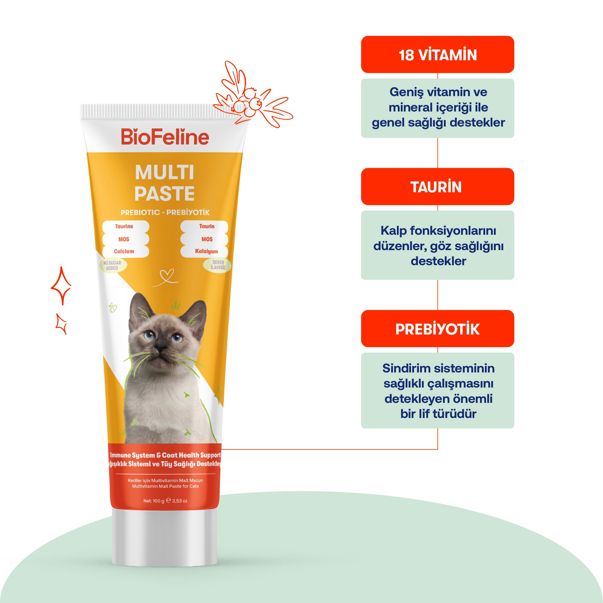 Kediler İçin Multivitamin Macun + Vitamin Damla Seti | Tüy Dökülmesi ve Bağışıklık Desteği | 100g + 50ml