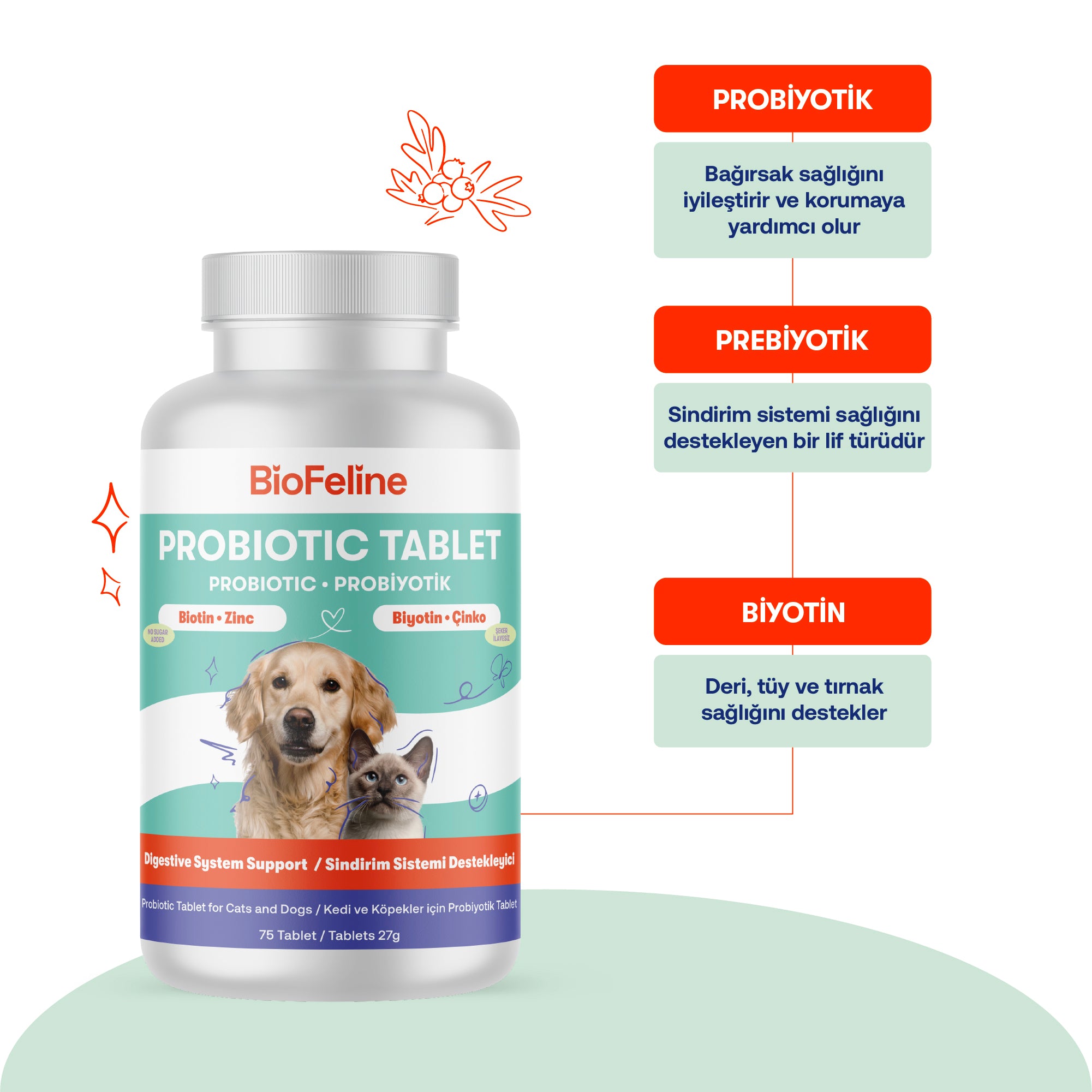 Kedi & Köpekler İçin Balık Yağı + Tablet Probiyotik Set | Omega 3-6 & Sindirim Desteği | 200ml + 60tb