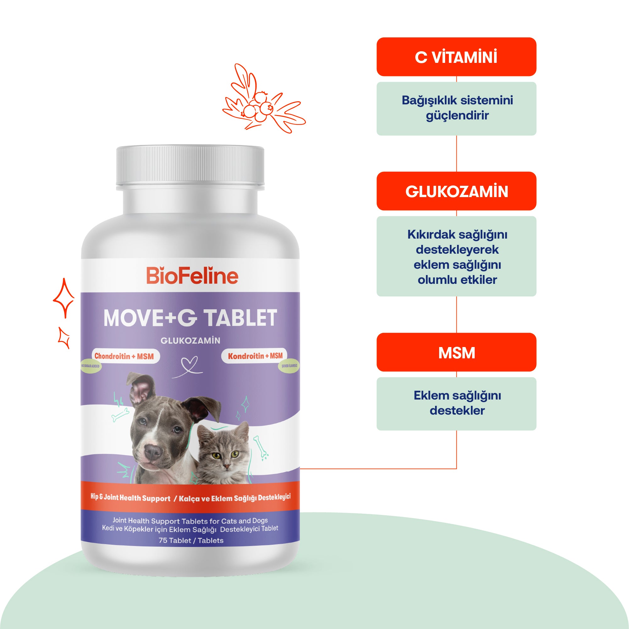 Kedi & Köpekler İçin Glukozamin Tablet | Eklem, Kas ve Kıkırdak Desteği | MSM + C Vitamini + Hyaluronik Asit | 75 Tablet