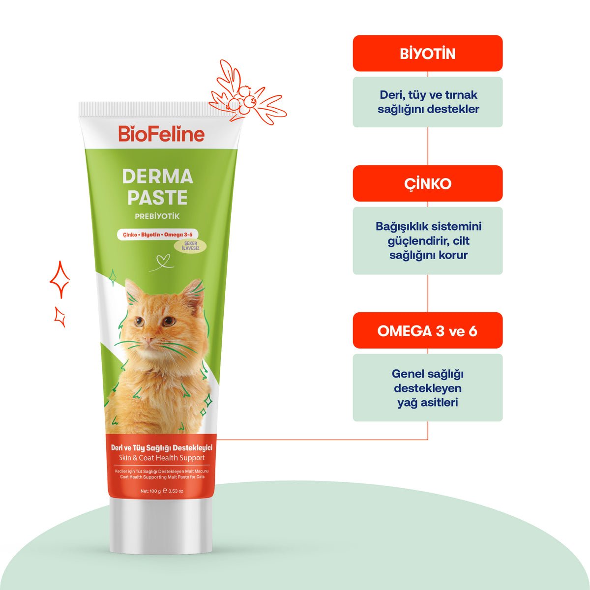 Kediler İçin Mevsimsel Tüy Dökülmesi Destek Seti – Derma Malt + Balık Yağı | BioFeline
