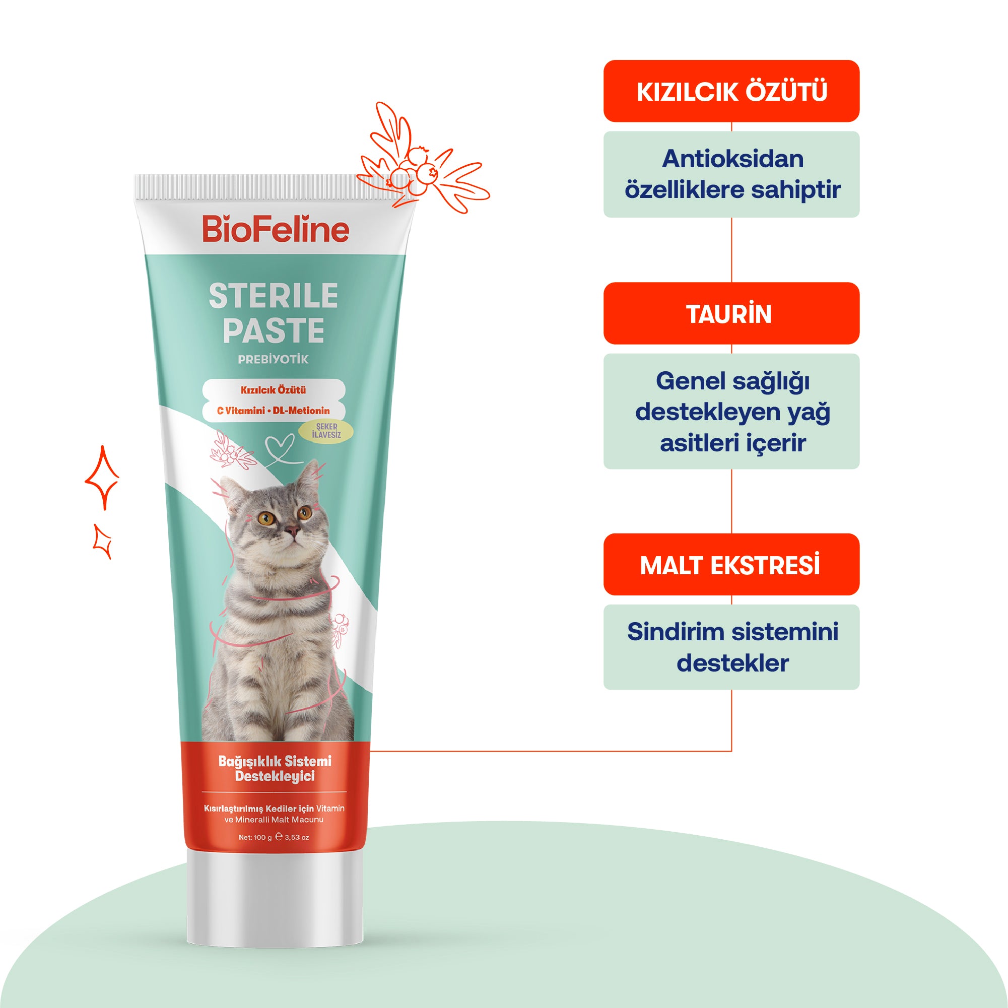 Kısır Kediler İçin Malt Macunu + Sıvı Probiyotik | Tüy Yumağı ve Sindirim Takviyesi | 100g + 50ml