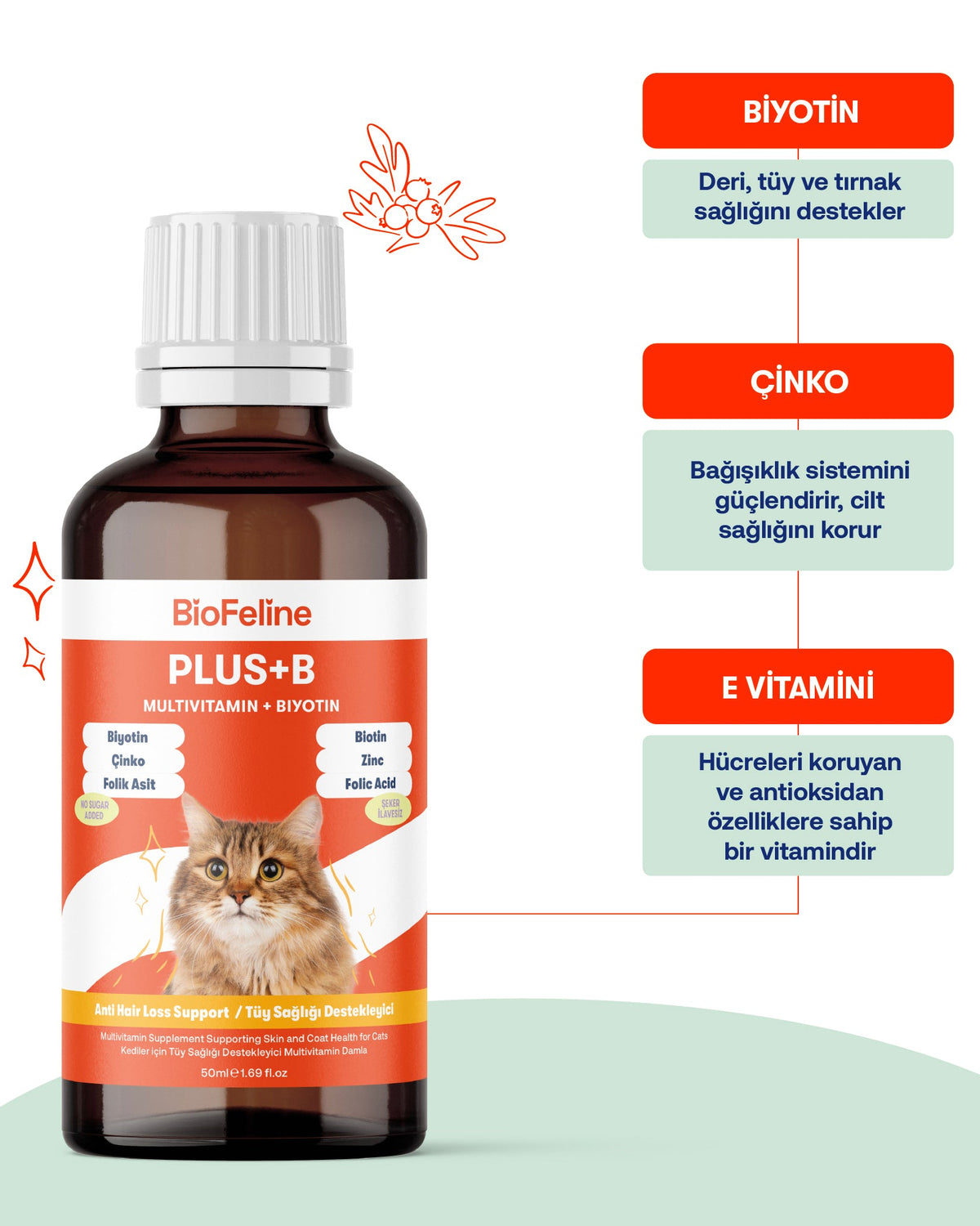 Kısır Kediler İçin Tüy Sağlığı & Besleyici Destek Seti | BioFeline