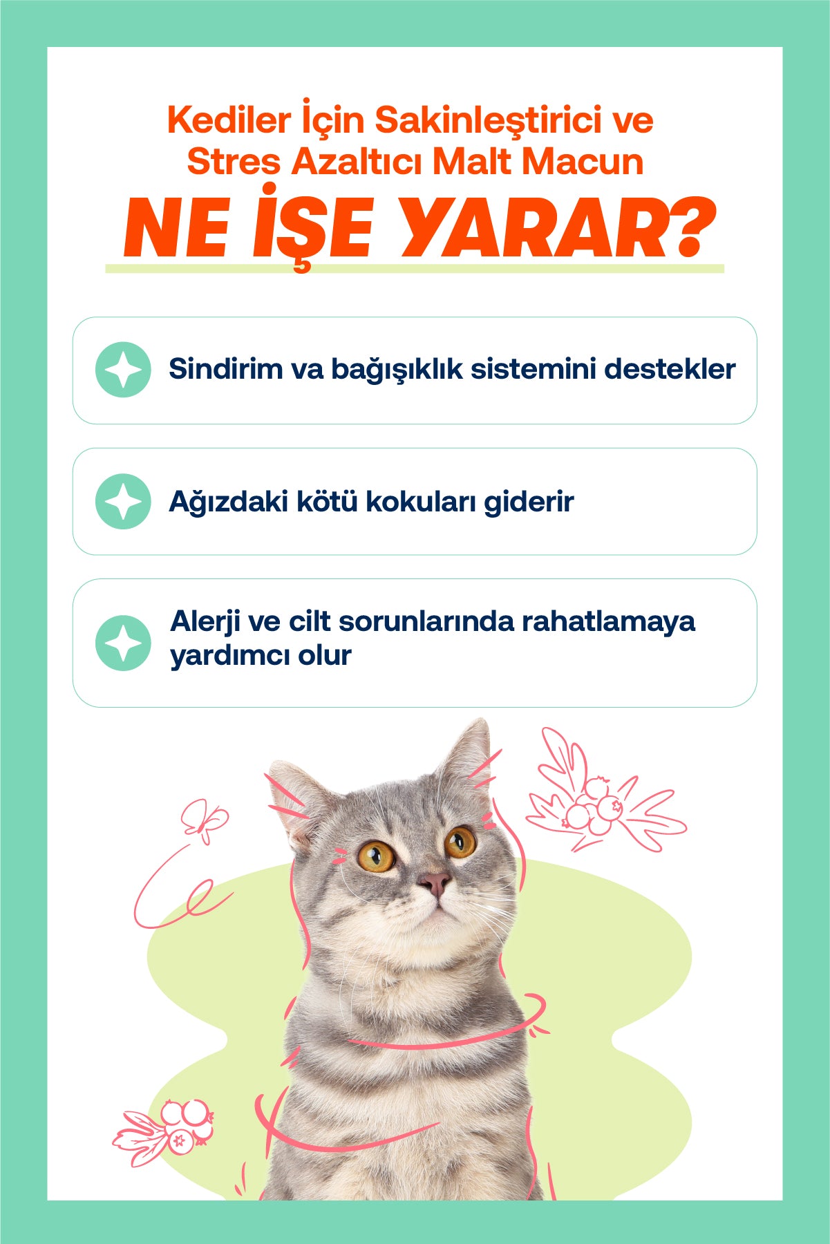 Kediler İçin Sıvı Probiyotik & Vitamin Damla | Sindirim, Bağışıklık ve Tüy Desteği | 50ml