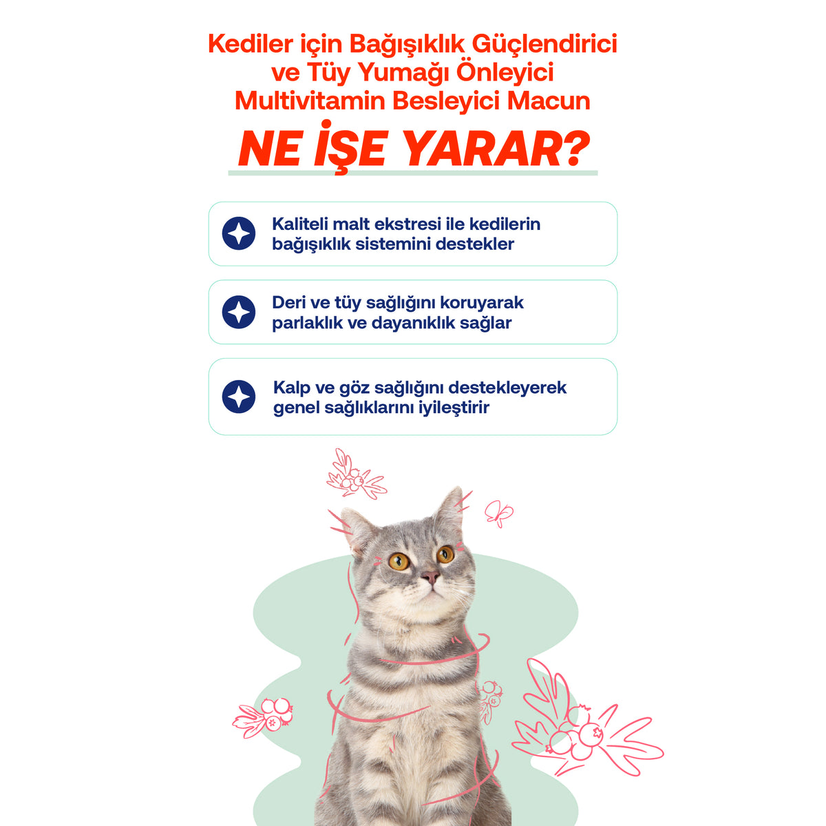 Kediler İçin Tüy Yumağı & Sindirim Destek Seti – Multivitamin Malt | BioFeline