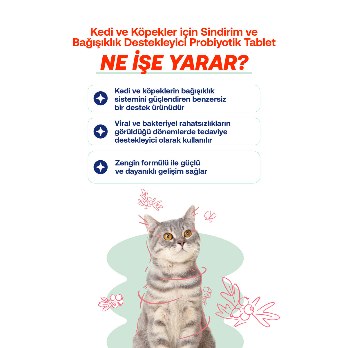 Kediler İçin Tüy Dökülmesi & Bağışıklık Destek Seti | BioFeline