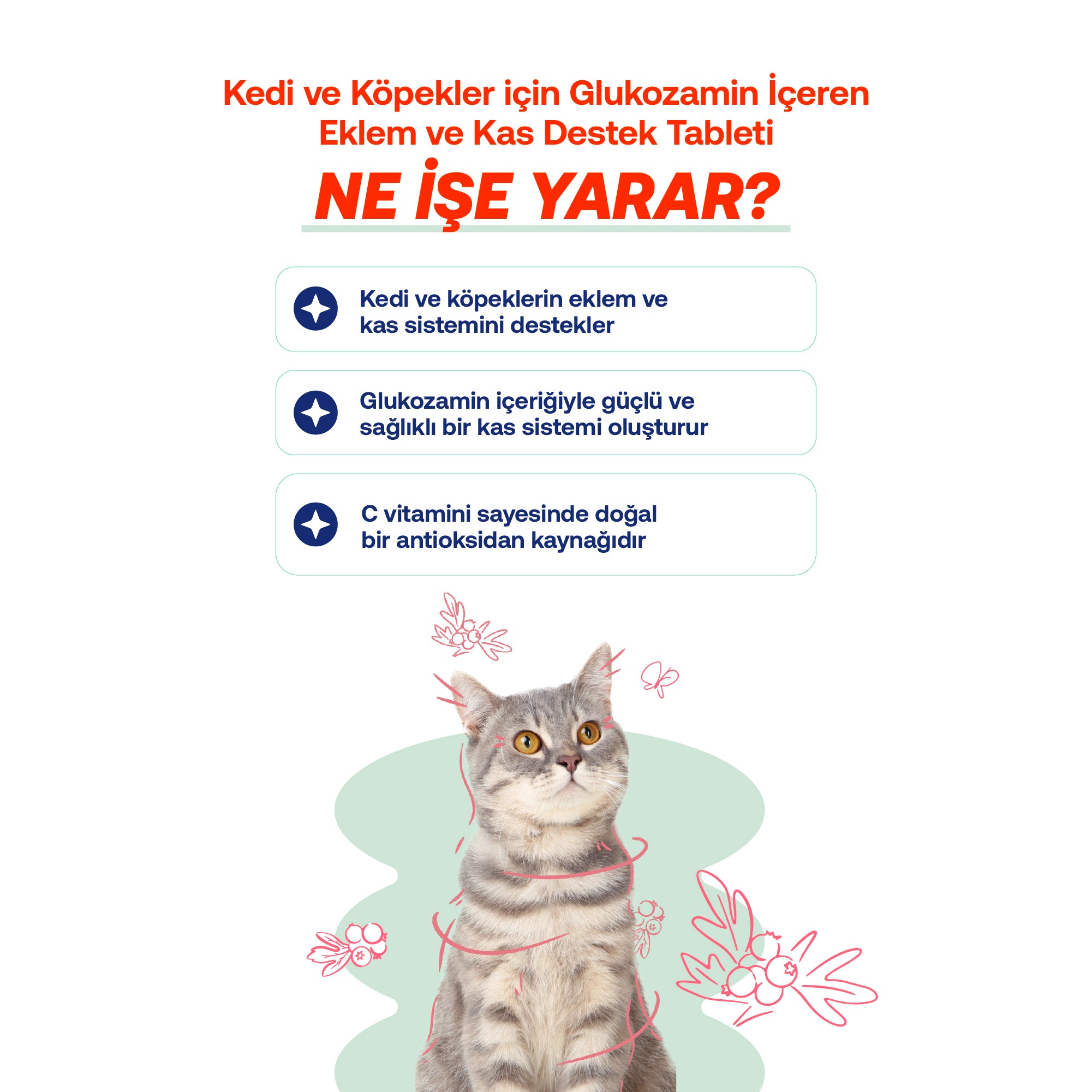Kedi & Köpekler İçin Glukozamin Tablet | Eklem, Kas ve Kıkırdak Desteği | MSM + C Vitamini + Hyaluronik Asit | 75 Tablet