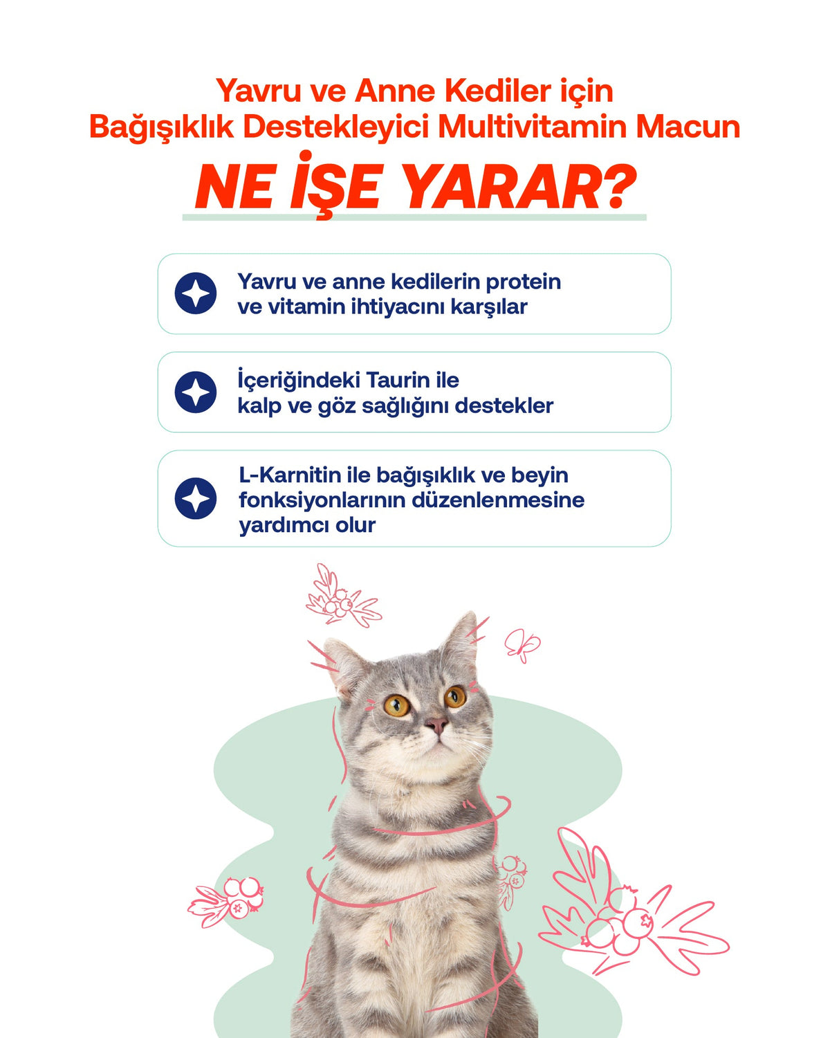 Yavru Kediler İçin Büyüme Destekleyici Multivitamin Malt Macunu 100 g | BioFeline