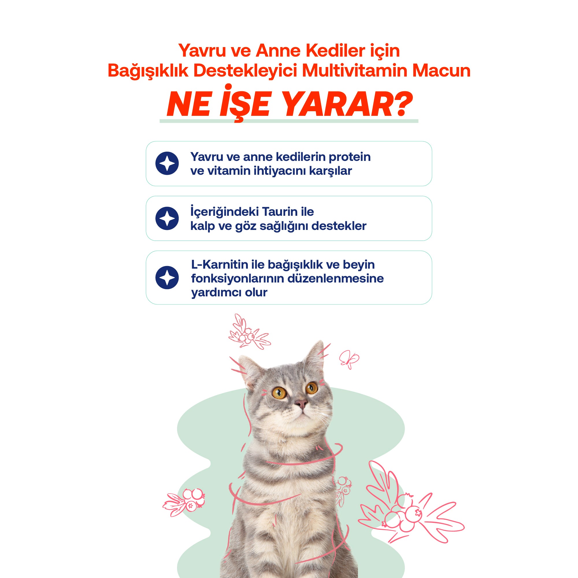 Malt Tablet Biofeline Zayifligi Gelisim – Bağışıklık Destek | BioFeline