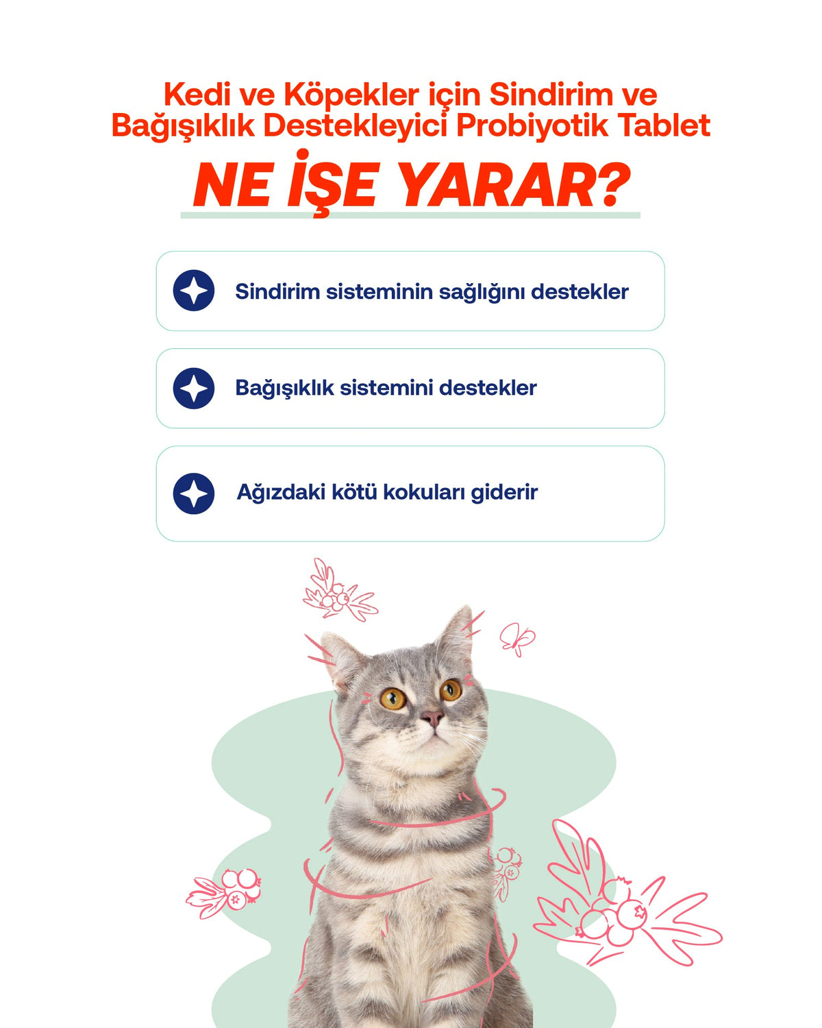 Kedi & Köpek İçin Tablet Probiyotik – Sindirim ve Bağışıklık Desteği, 25 Adet | BioFeline