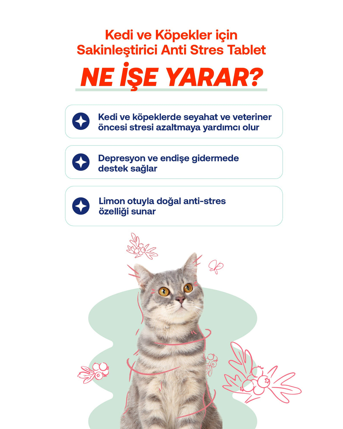 Kedi & Köpek İçin Sakinleştirici Tablet – Stres ve Gerginlik Dönemleri, 75 Adet | BioFeline