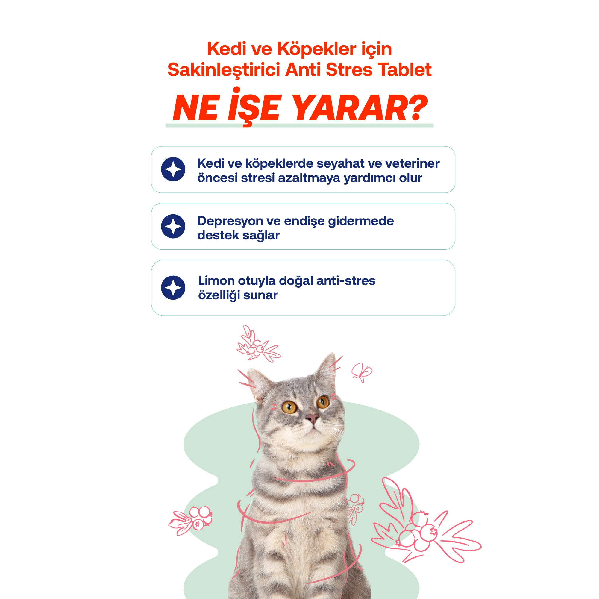 Kedi Stres Kaygi Huzursuzluk Kopekler Tablet – Onarıcı | BioFeline