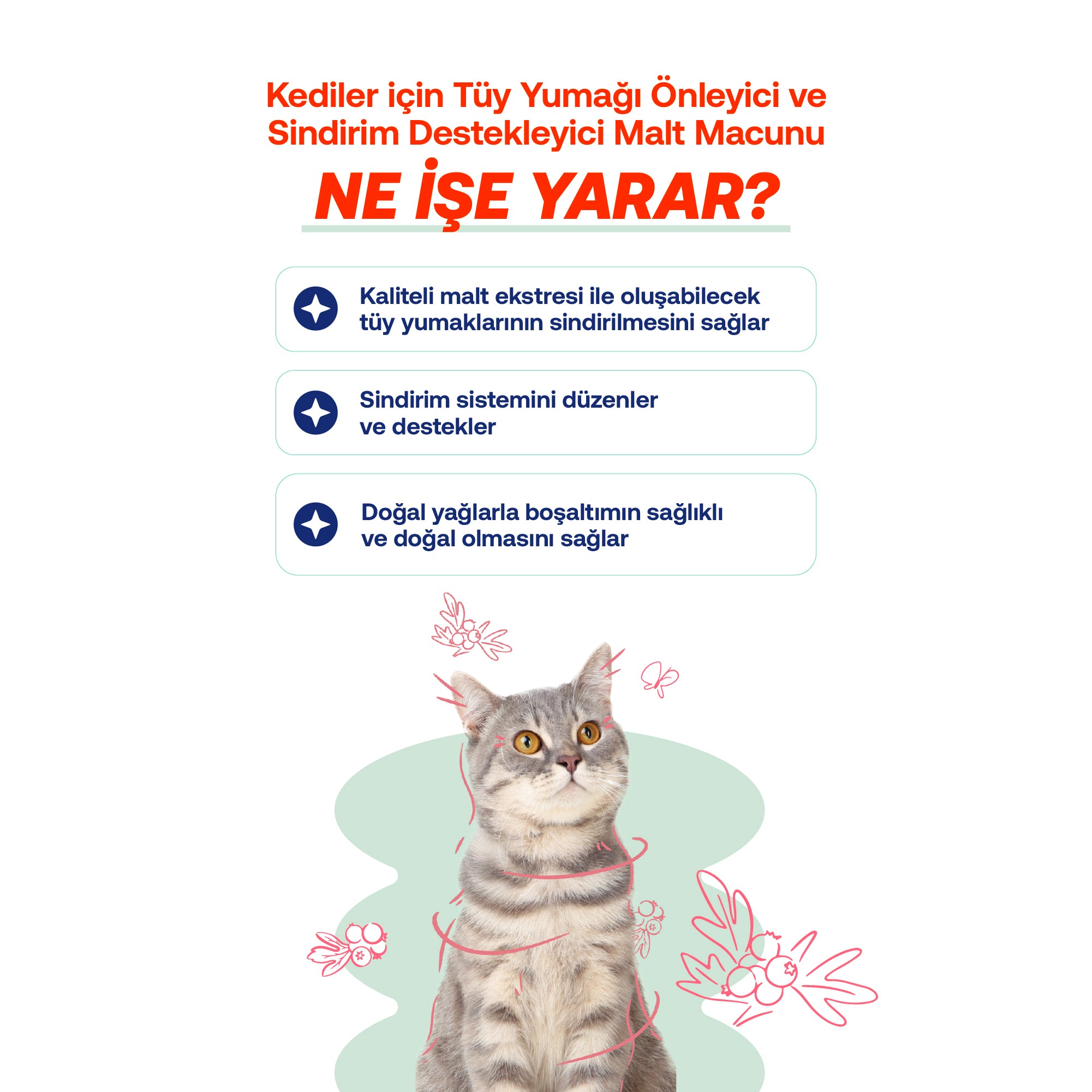 Kediler İçin Tüy Yumağı Önleyici Malt Macunu | Anti-Hairball Doğal Destek | 100g