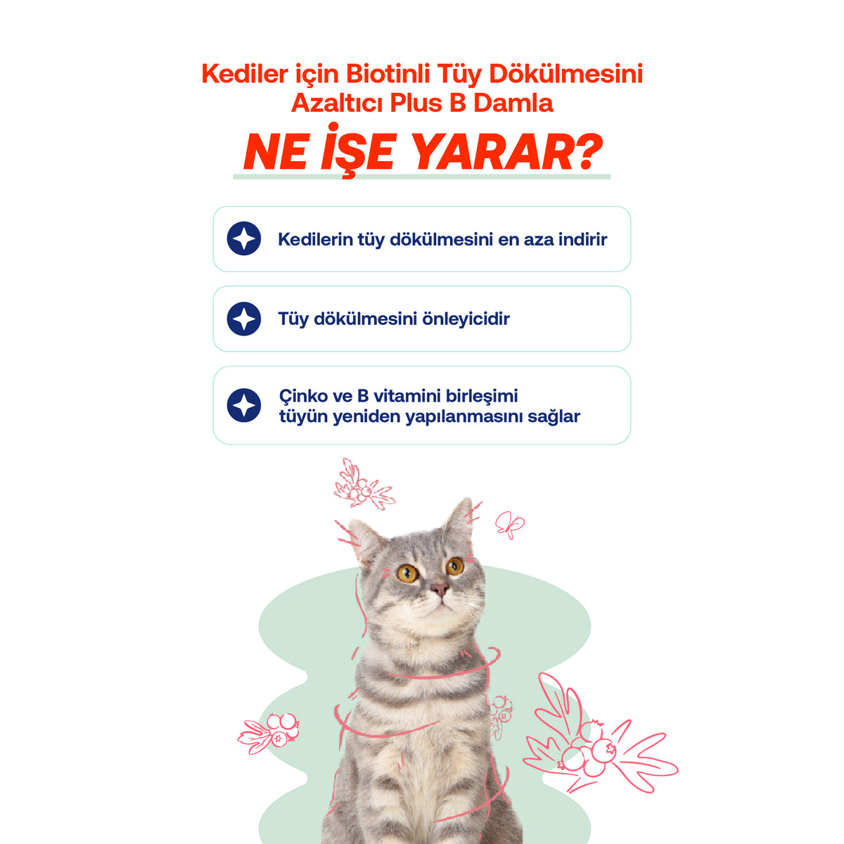 Kediler İçin Tüy Dökülmesi & Sindirim Destek Seti – Prebiyotik Bakım | BioFeline