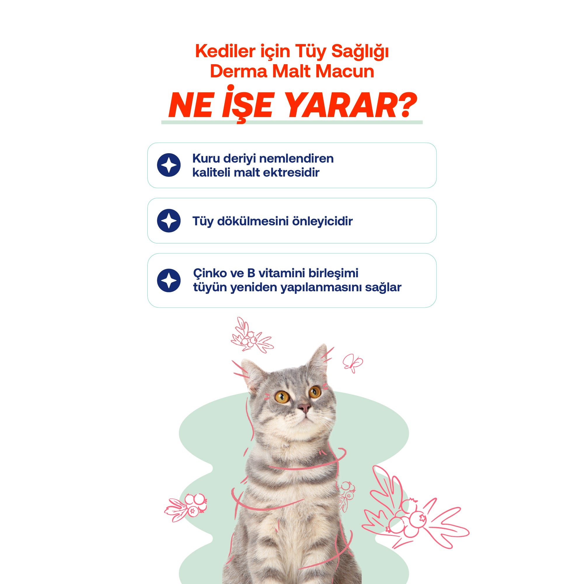 Malt Dokulmesi Deri Kediler Derma Kedi Maltı – Tüy Sağlığı | BioFeline