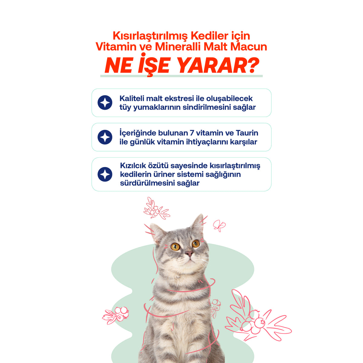 Kısır Kediler İçin Malt Macunu + Sıvı Probiyotik Seti – Tüy & Sindirim | BioFeline