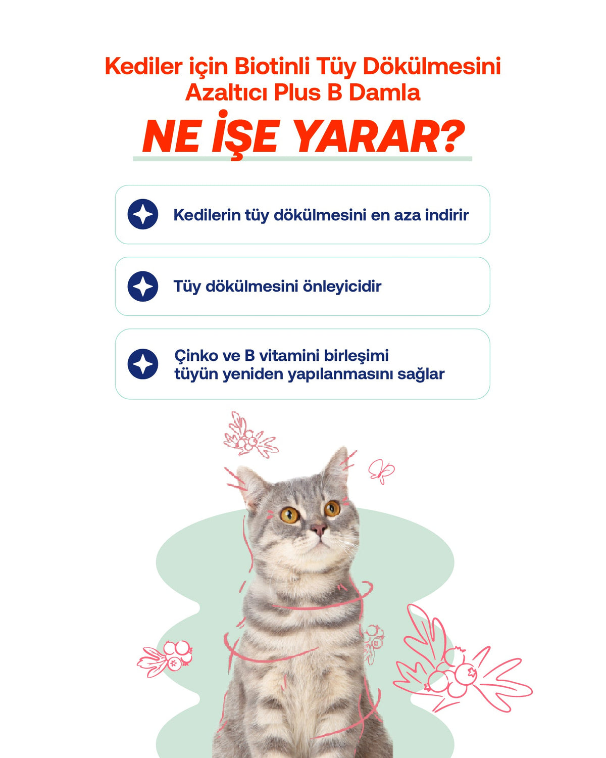 Kediler İçin Sıvı Probiyotik & Vitamin Damla – Sindirim, Bağışıklık ve Tüy Desteği, 50 ml | BioFeline