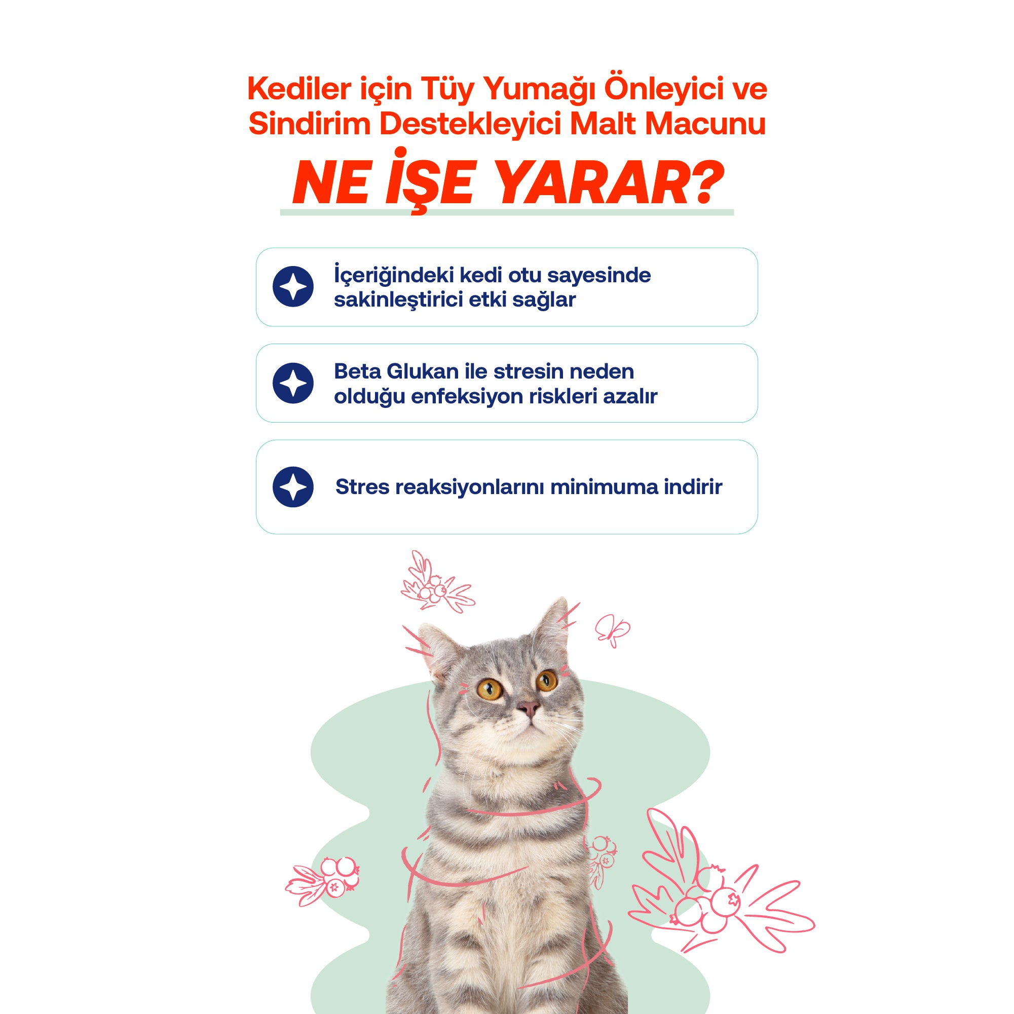 Sakinleştirici Kedi Macunu – Doğal Stres Giderici  Kantaron İçerikli (30g)