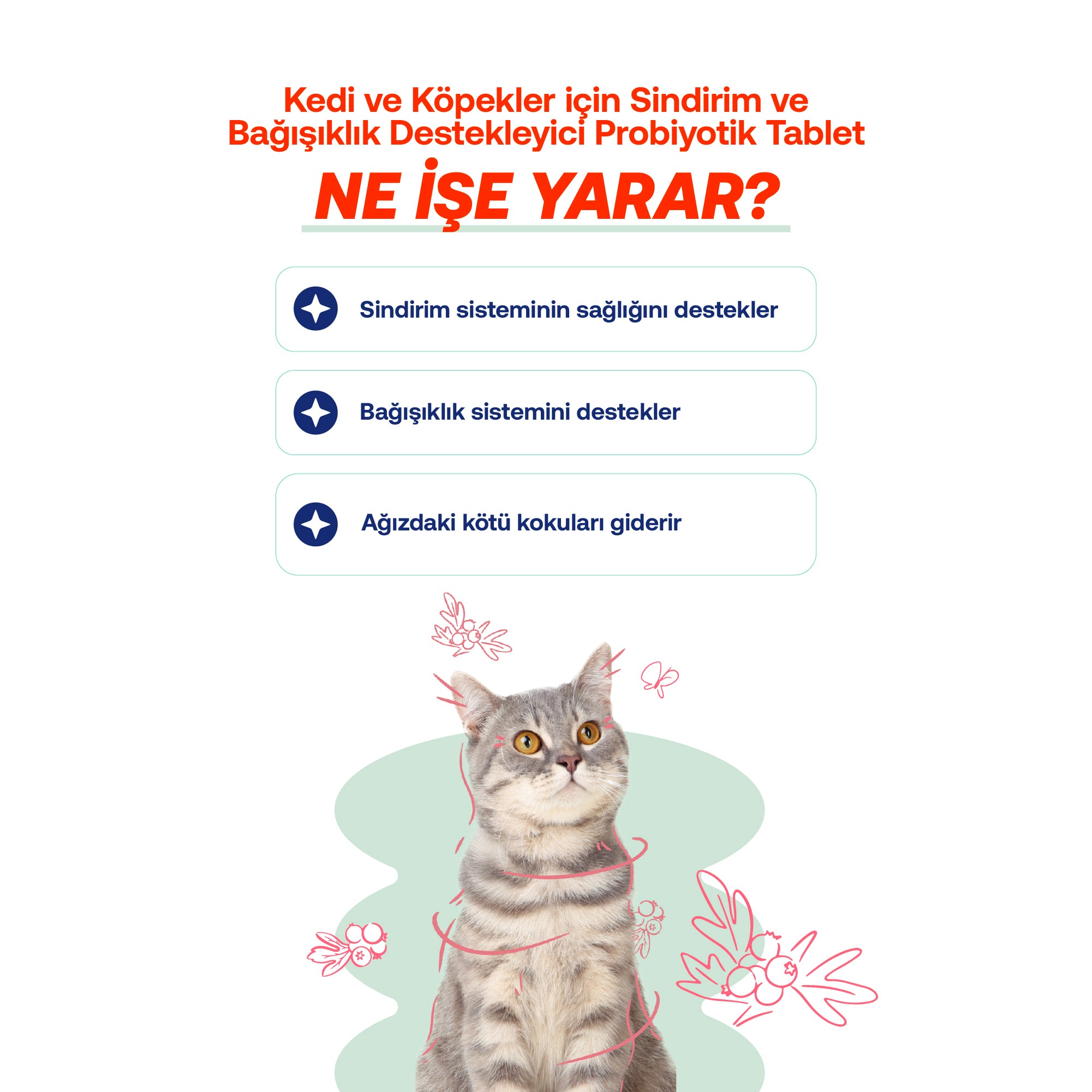 Kedi & Köpekler İçin Balık Yağı + Tablet Probiyotik Set | Omega 3-6 & Sindirim Desteği | 200ml + 60tb