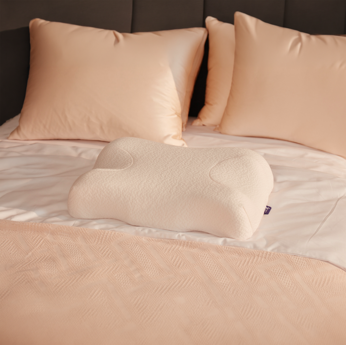 Beauty Pillow Kırışıklık Önleyici Ortopedik Güzellik Yastığı – Skin+ Kılıflı