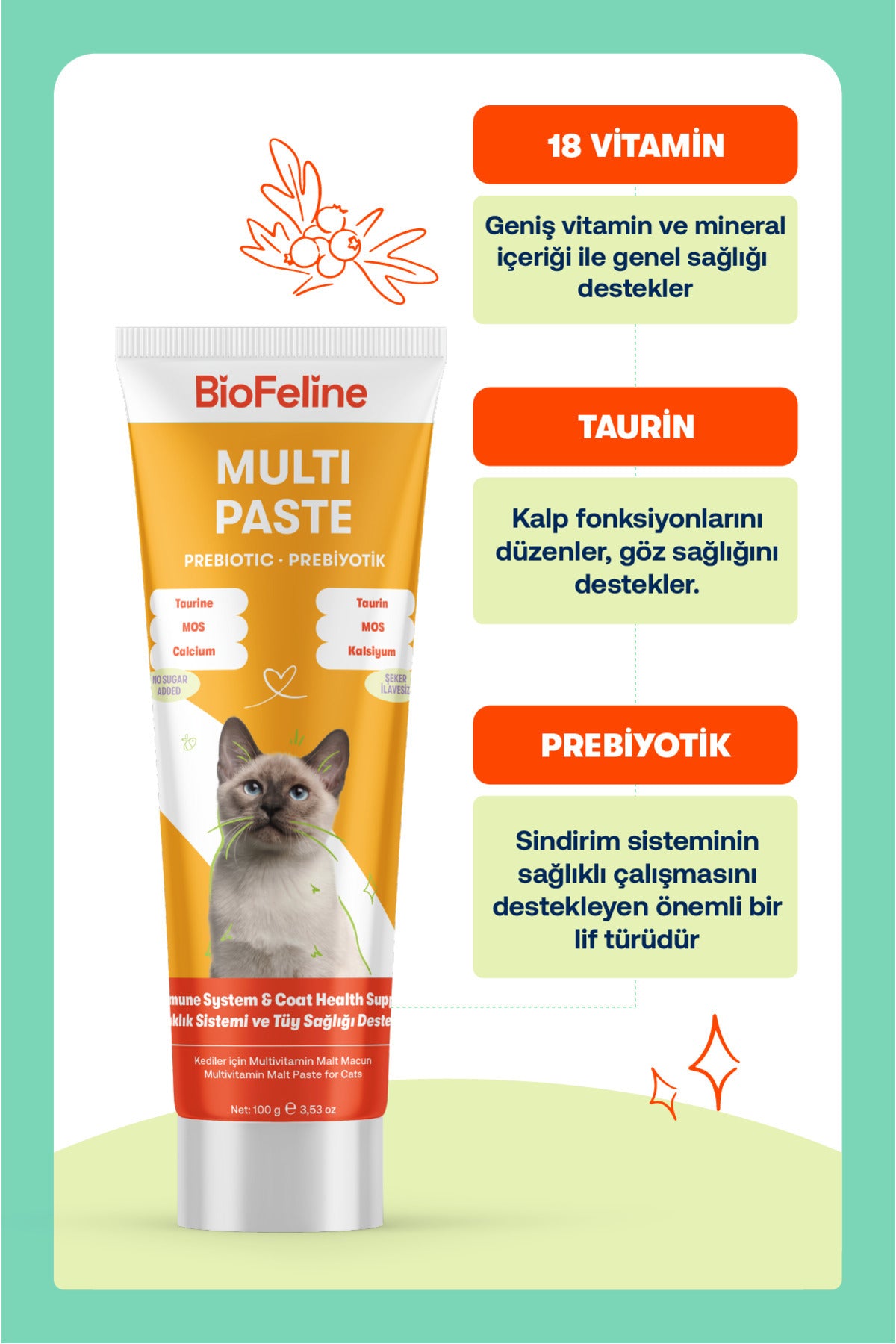 Kediler İçin Bağışıklık & Enerji Destek Seti – Multivitamin | BioFeline