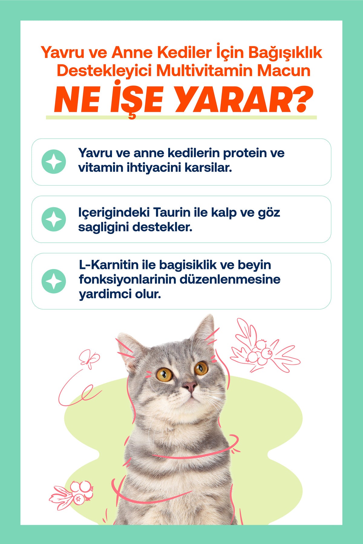Yavru Kediler İçin Bağışıklık & Gelişim Destek Seti – Tablet + Malt | BioFeline