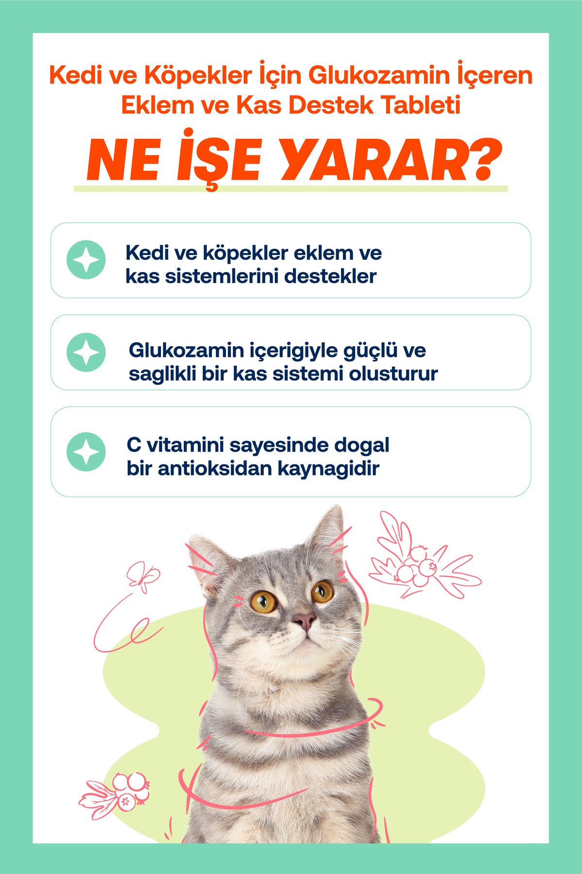 Eklem Sertliği ve Tüy Dökülmesi Azaltıcı Kedi ve Köpekler İçin Omega & Glukozamin Tablet Seti | BioFeline