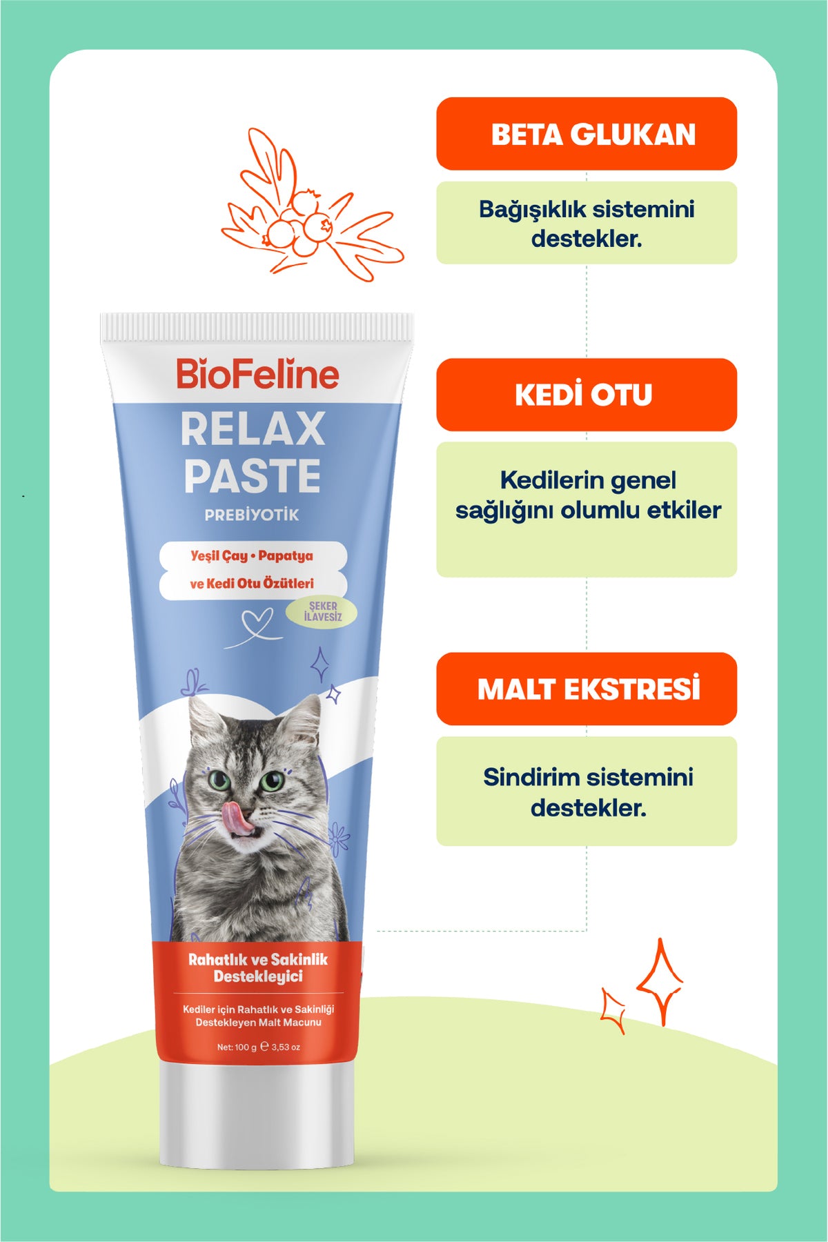 Kediler İçin Sakinleştirici Macun 100 g – Stres ve Huzursuzluk Azaltıcı | BioFeline