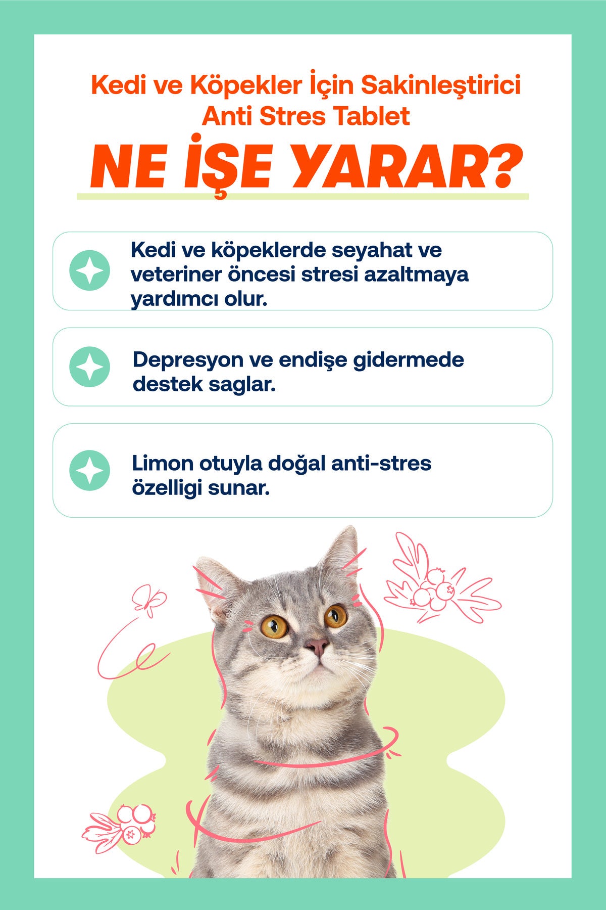 Kedi & Köpek İçin Sakinleştirici Tablet – Stres ve Gerginlik Dönemleri, 75 Adet | BioFeline