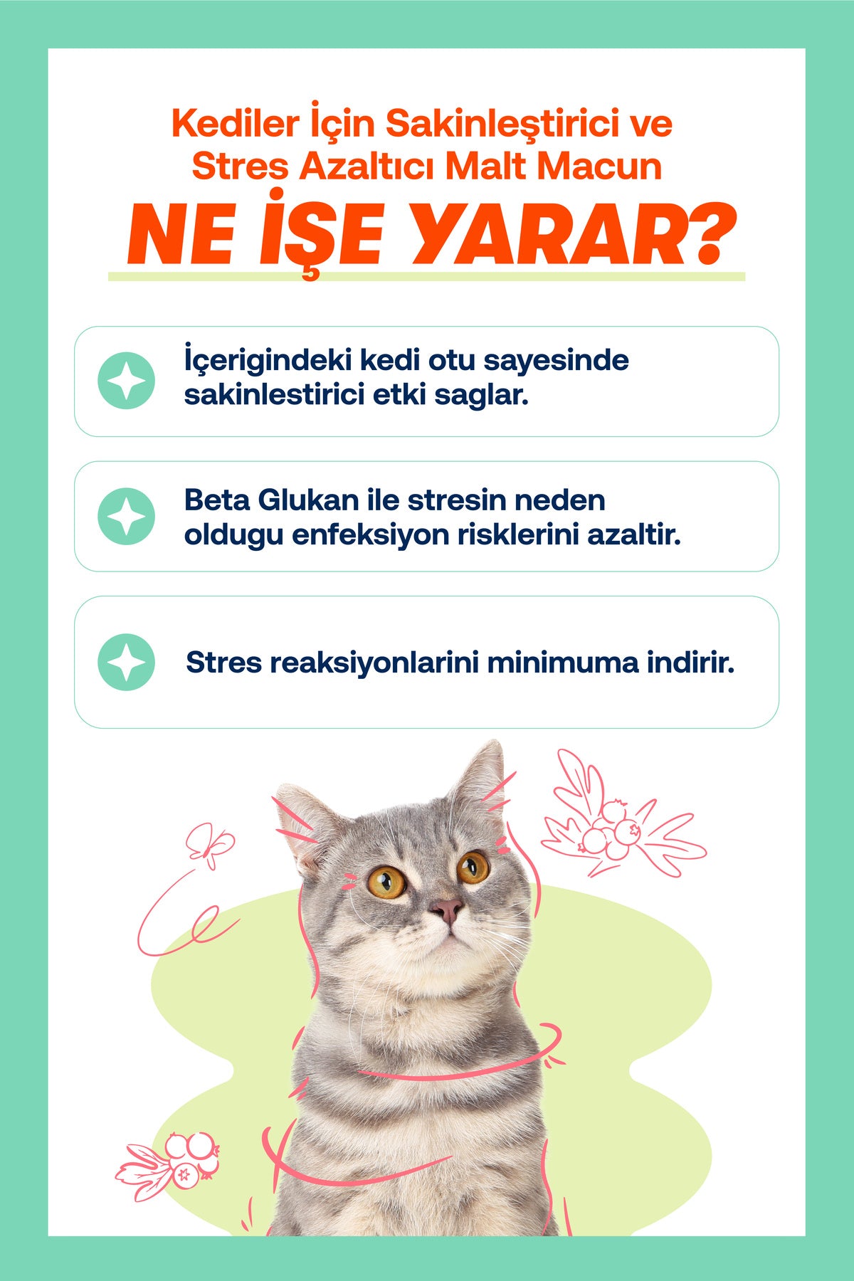 Kediler İçin Sakinleştirici Relax Macunu – Stres ve Gerginlik, 100 g | BioFeline
