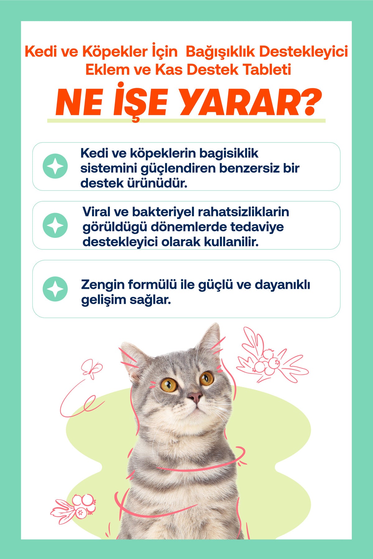 Kediler İçin Sakinleştirici Relax Macunu – Stres ve Gerginlik, 100 g | BioFeline