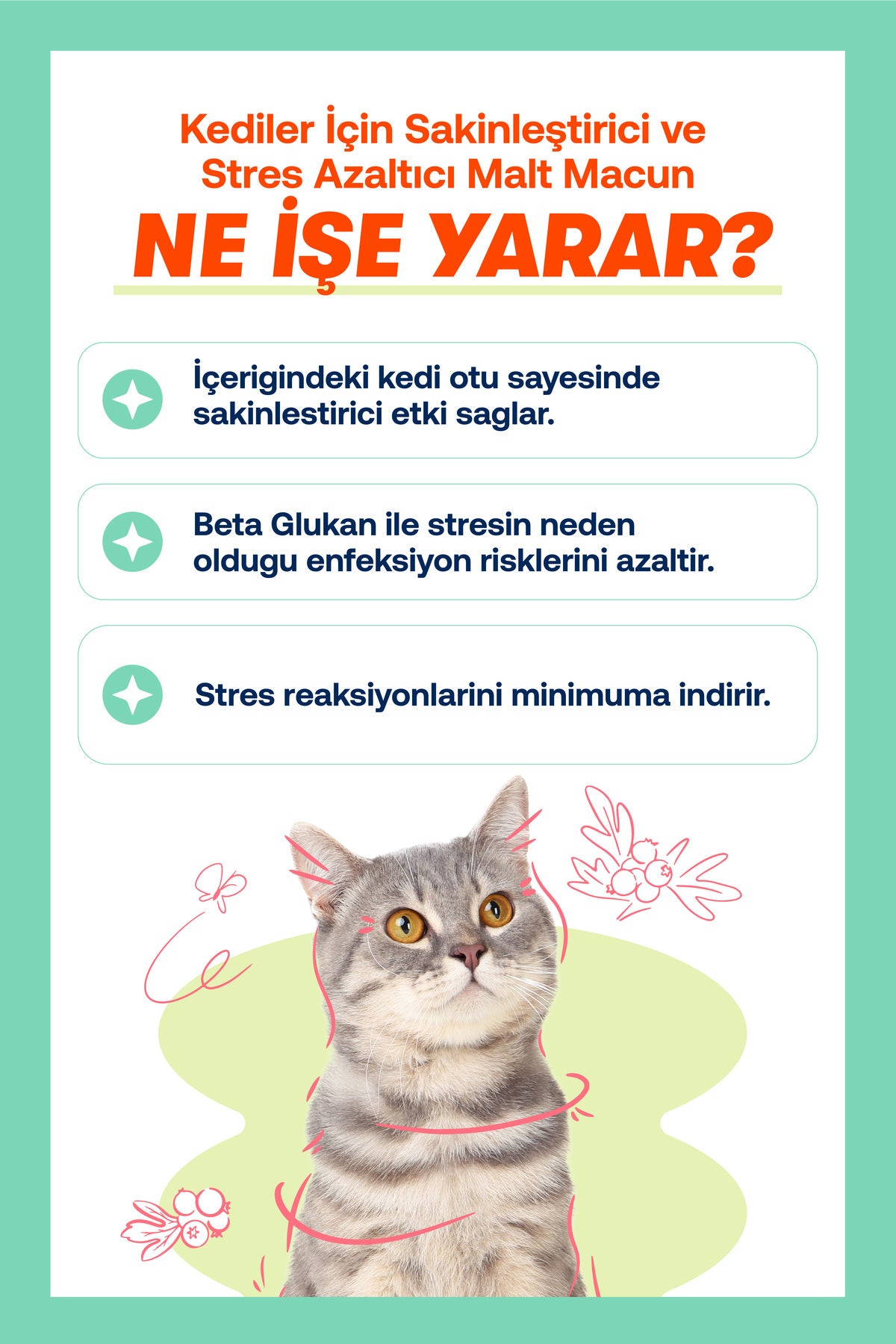 Kediler İçin Sakinleştirici Relax Macunu 30 g – Stres Azaltıcı | Deneme Boy | BioFeline