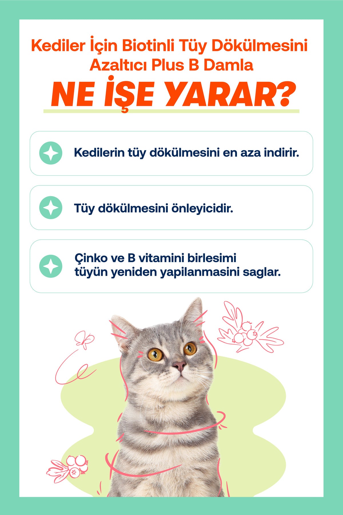Köpekler İçin Sıvı Probiyotik & Multivitamin Damla – Sindirim ve Bağışıklık, 50 ml | BioFeline