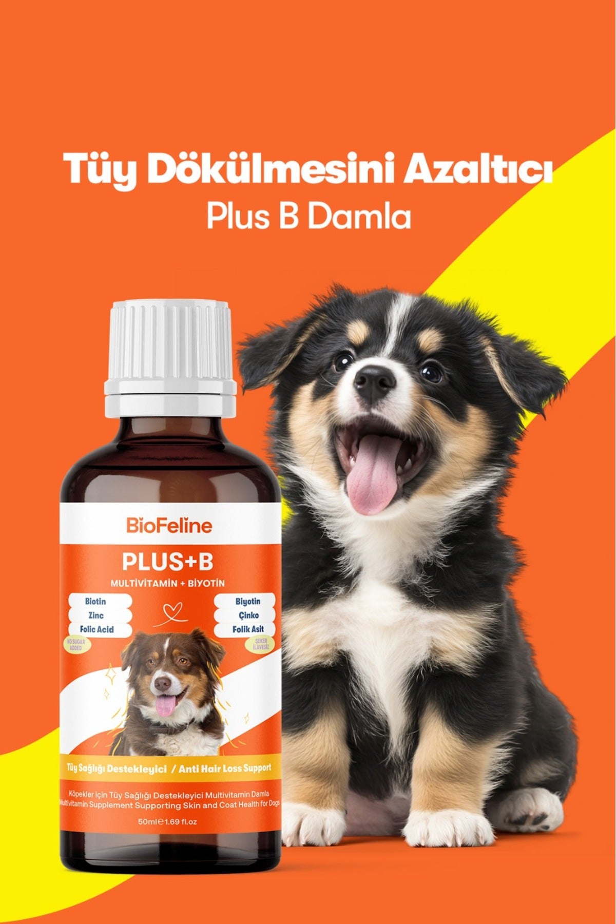 Köpekler İçin Sıvı Probiyotik & Multivitamin Damla – Sindirim ve Bağışıklık, 50 ml | BioFeline