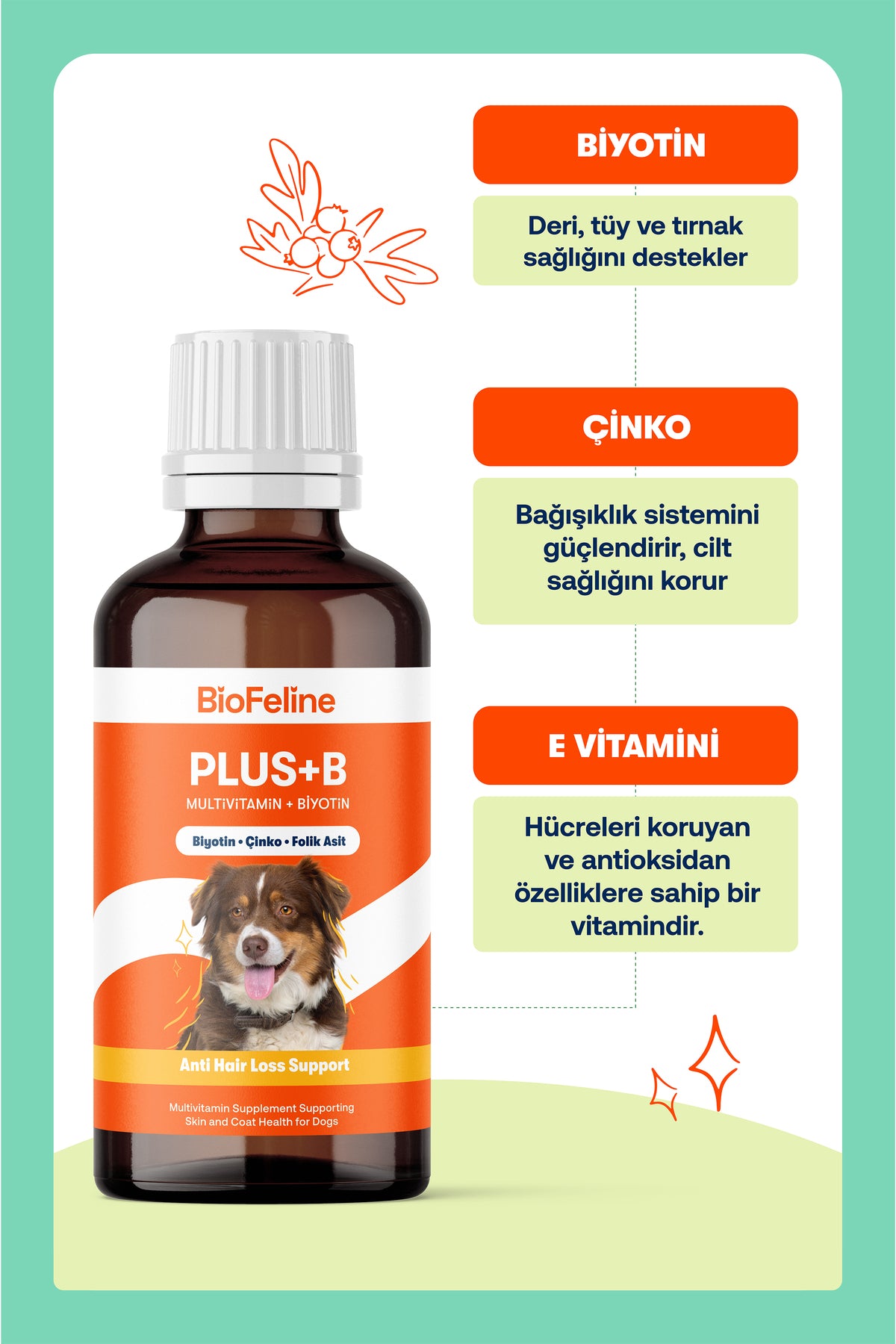 Köpekler İçin Biotin Damla – Tüy Dökülmesi ve Deri Sağlığı Desteği, 50 ml | BioFeline