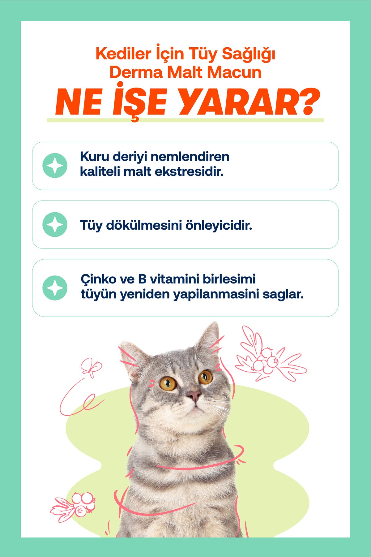 Kediler İçin Tüy Dökülmesi Karşıtı Derma Malt Macunu 100 ml | BioFeline