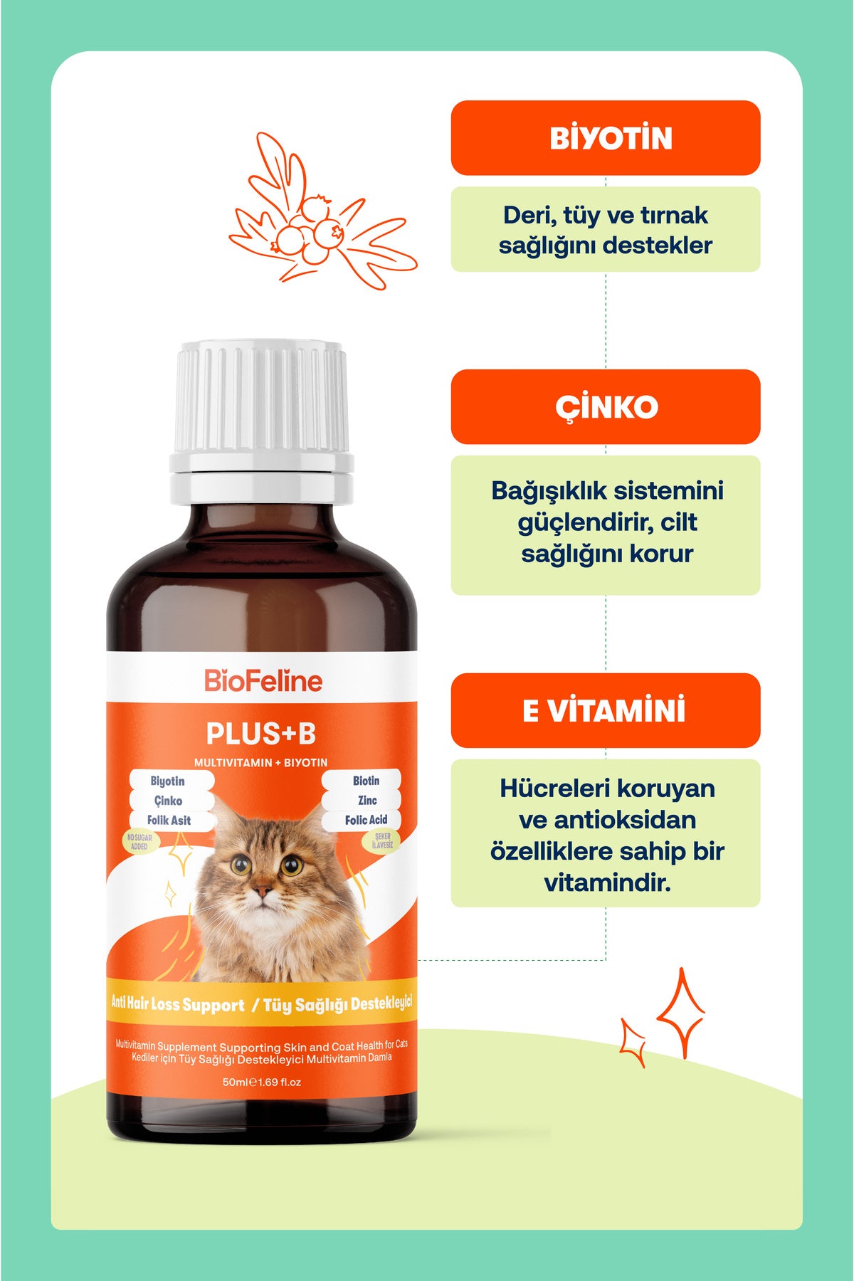 Köpekler İçin Sıvı Probiyotik & Multivitamin Damla – Sindirim ve Bağışıklık, 50 ml | BioFeline