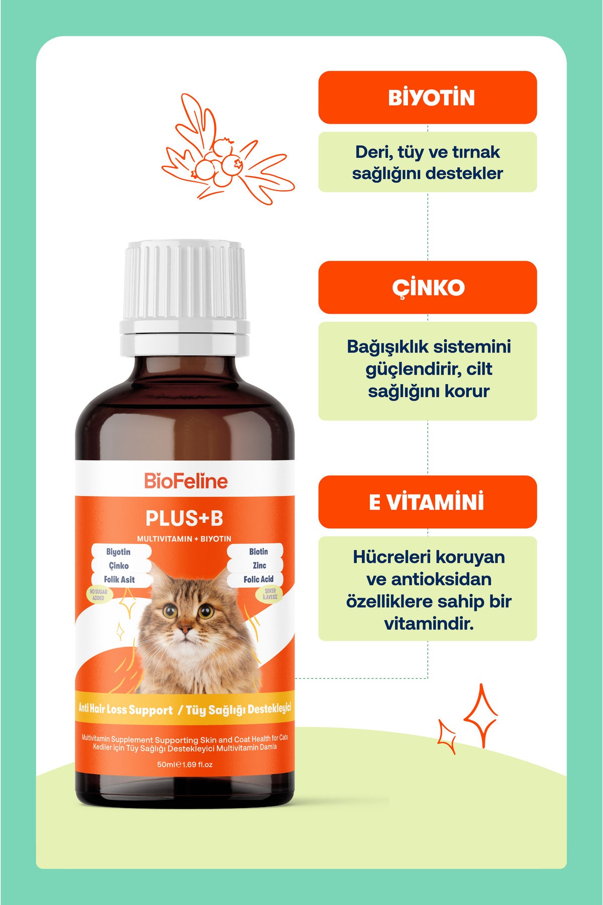 Kediler İçin Tüy Dökülmesi & Sindirim Destek Seti – Prebiyotik Bakım | BioFeline