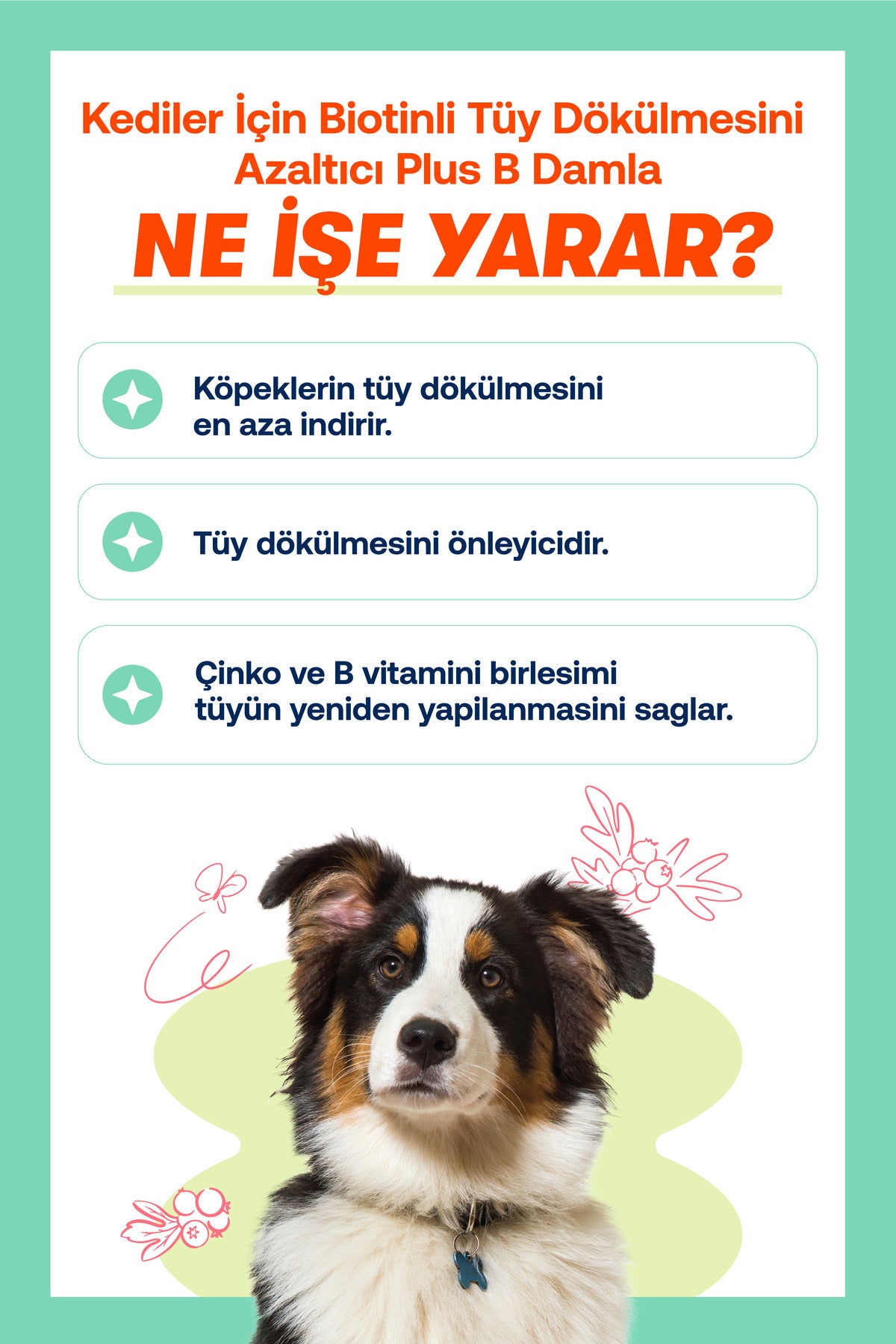 Köpekler İçin Tüy Sağlığı Destek Seti – Omega 3-6 Balık Yağı + Biotin Damla | BioFeline