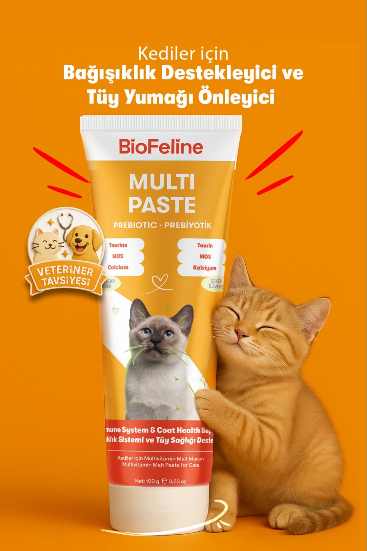 Kediler İçin Tüy Yumağı & Bağışıklık Destek Macunu 100 g | BioFeline